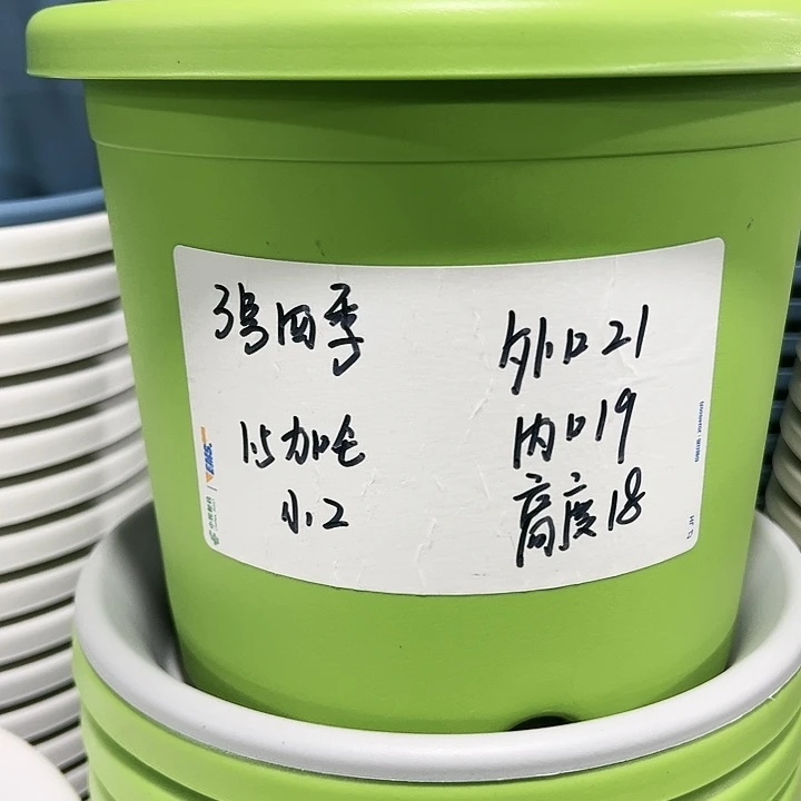 特价3号口21高18白色6只无托