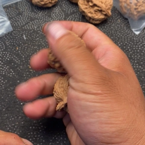 文玩核桃把件西楼1.1