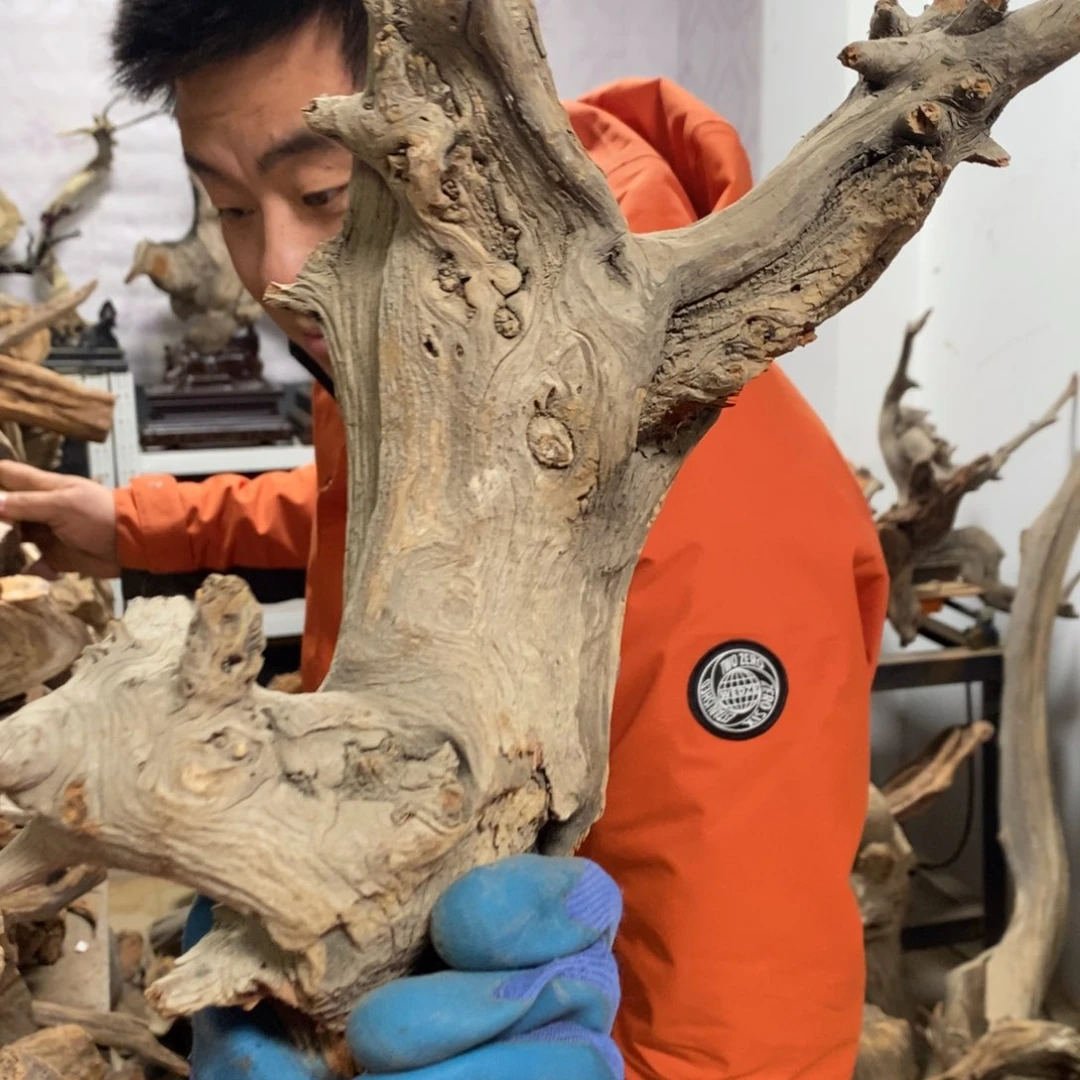 柏木闭***?我们都是好孩子