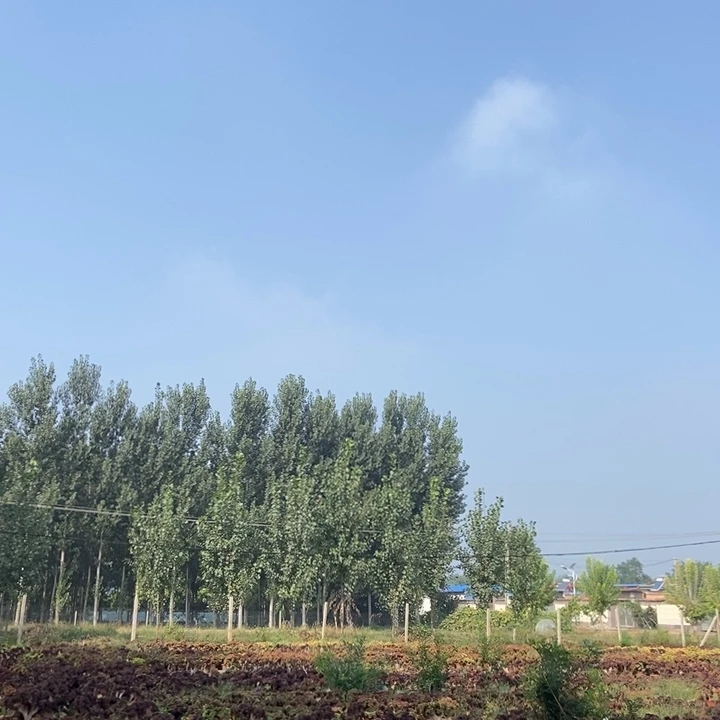 用***香发货发货发货发货