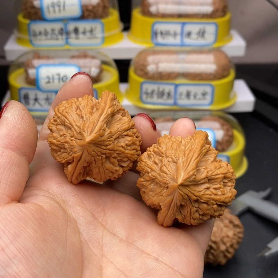 伍***椒文玩核桃把件大沽石