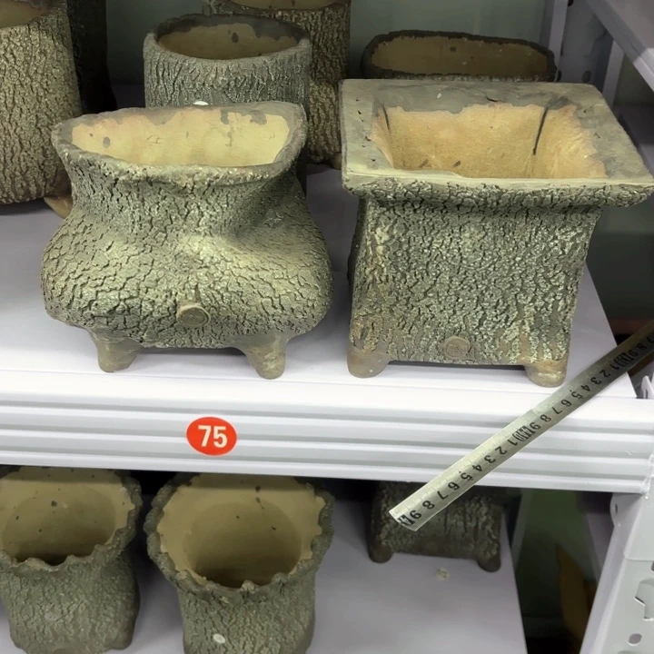 红陶素**水内敛的人是不可能