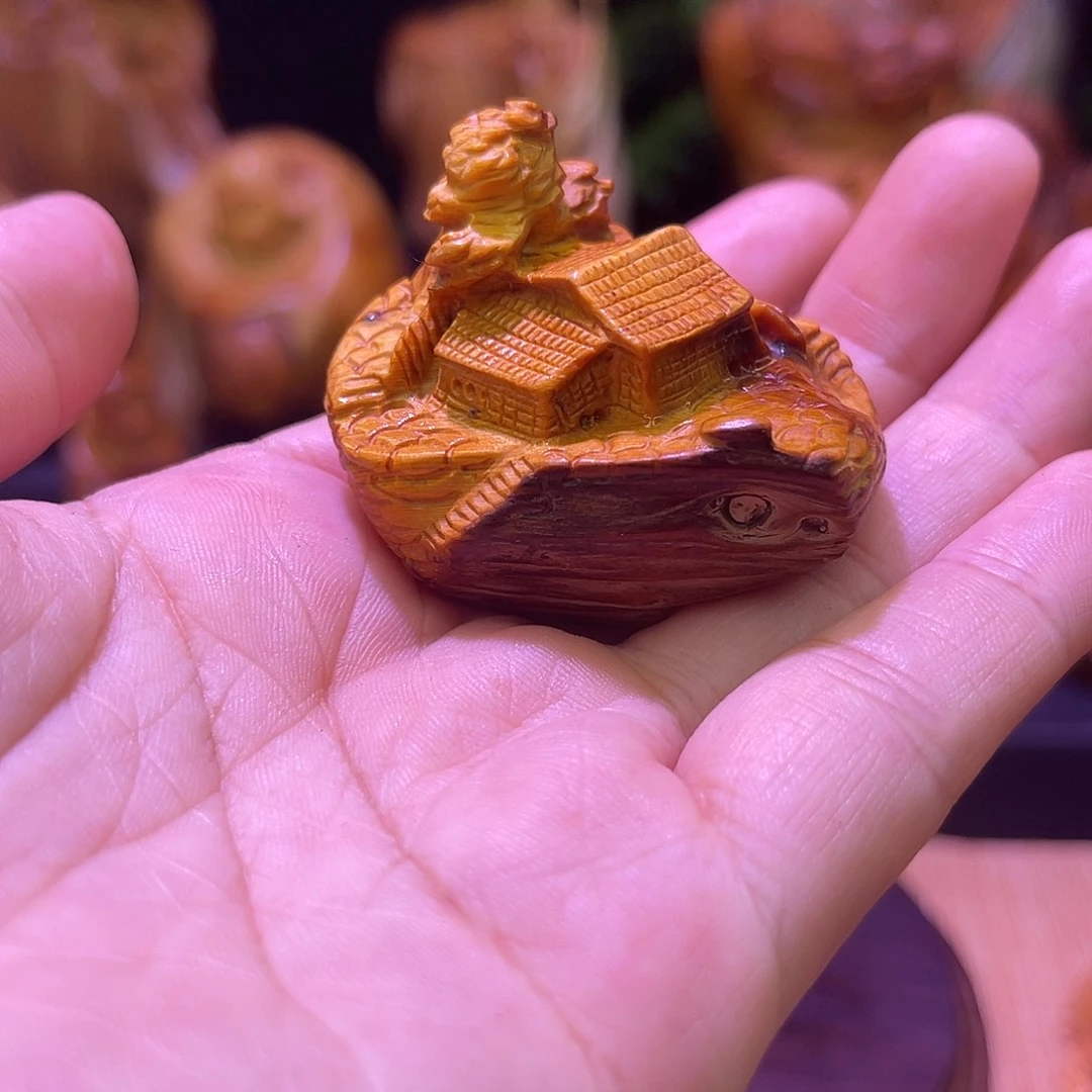 柏木888888888888888888