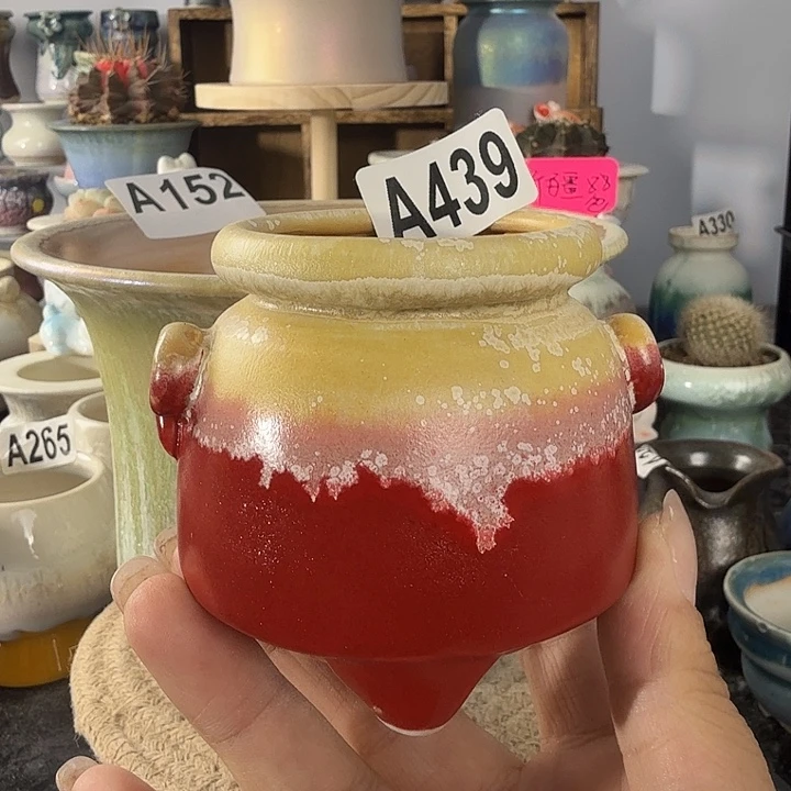 28包邮，当天凑够口5高7