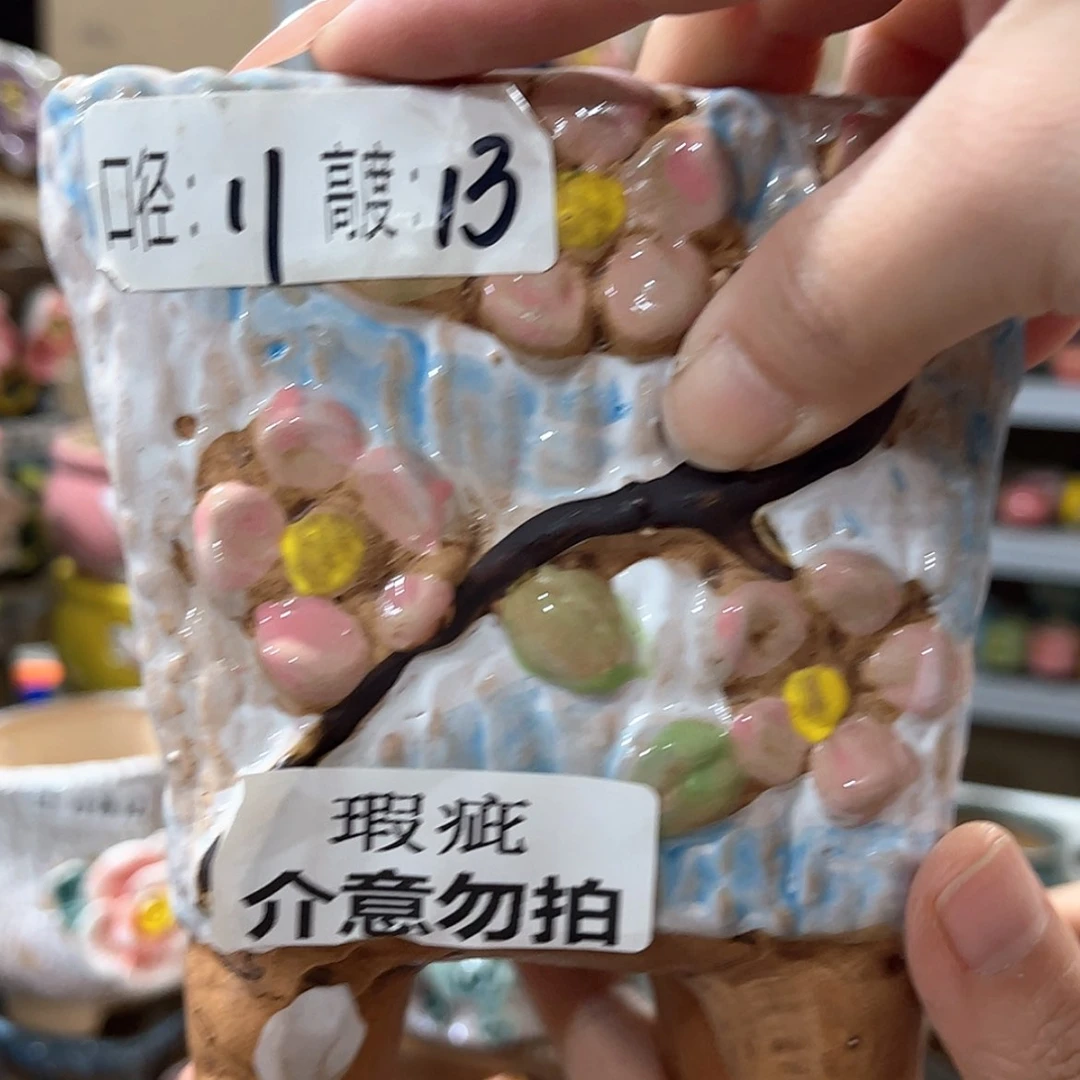 【闪购商品】红陶福利