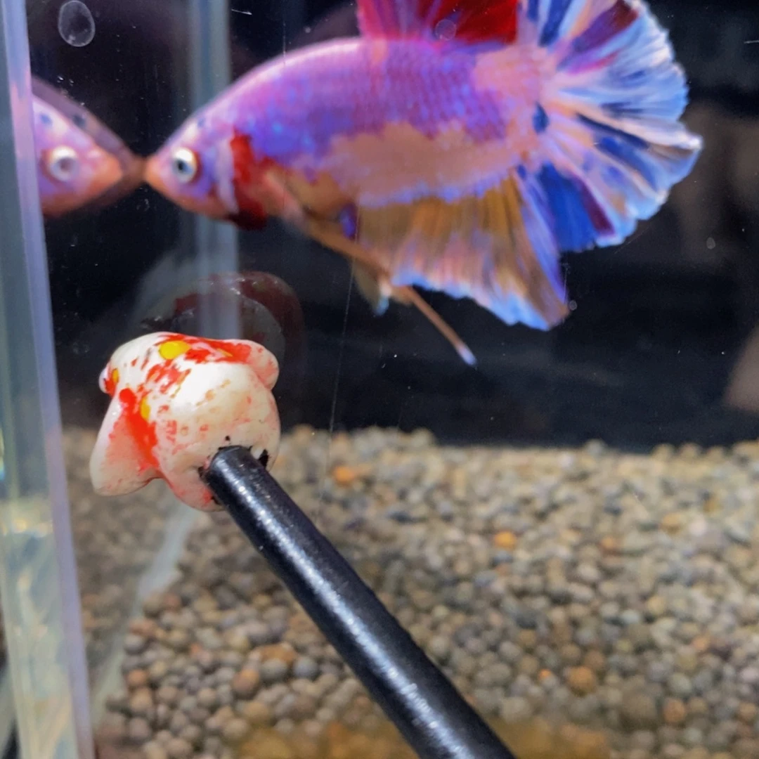 斗鱼168巨斗111111