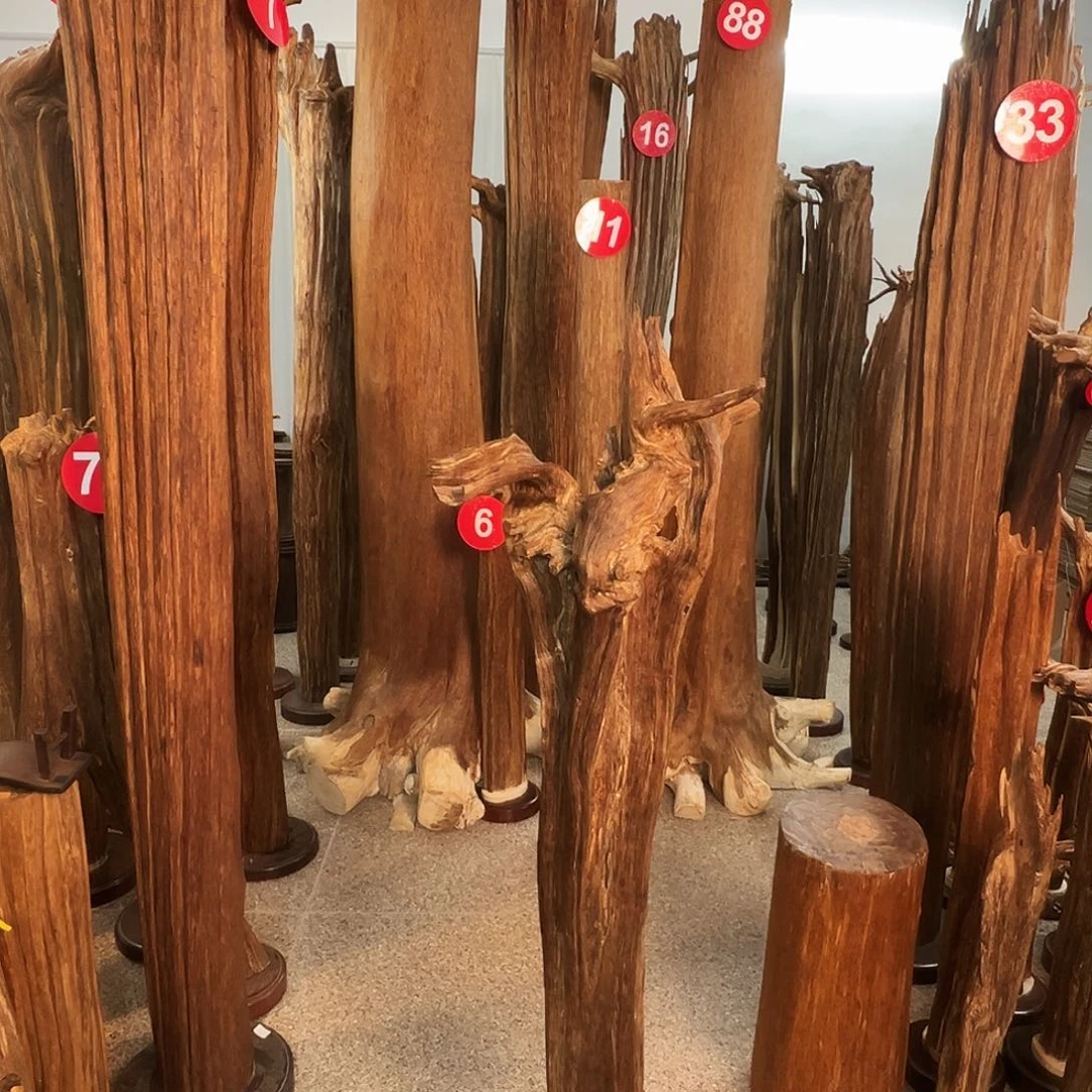 美***识沉香摆件沉香原料H