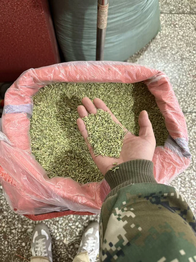 安国中药材市场批发小茴香100-1000g