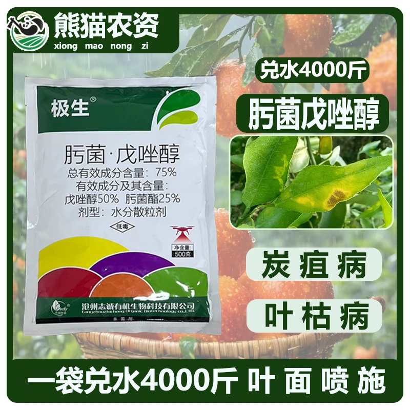 【肟菌戊唑醇75%】管控果园砂皮炭疽褐斑小麦赤霉病特效药商品图