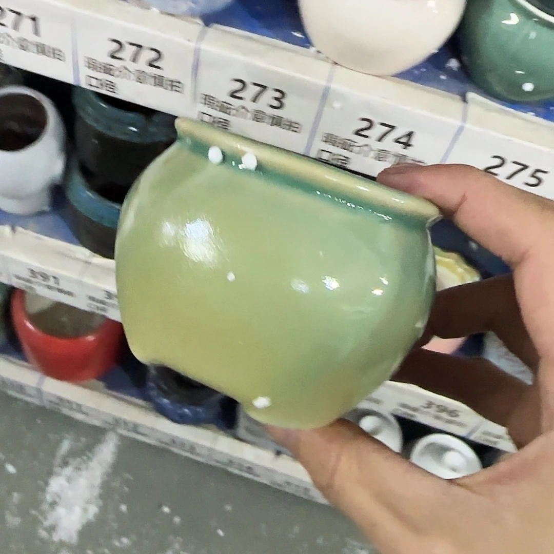 福利局绿植多肉盆［凑9元包邮24小时发］270