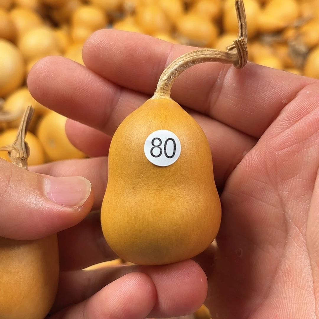 一葫芦葫芦葫芦葫芦80