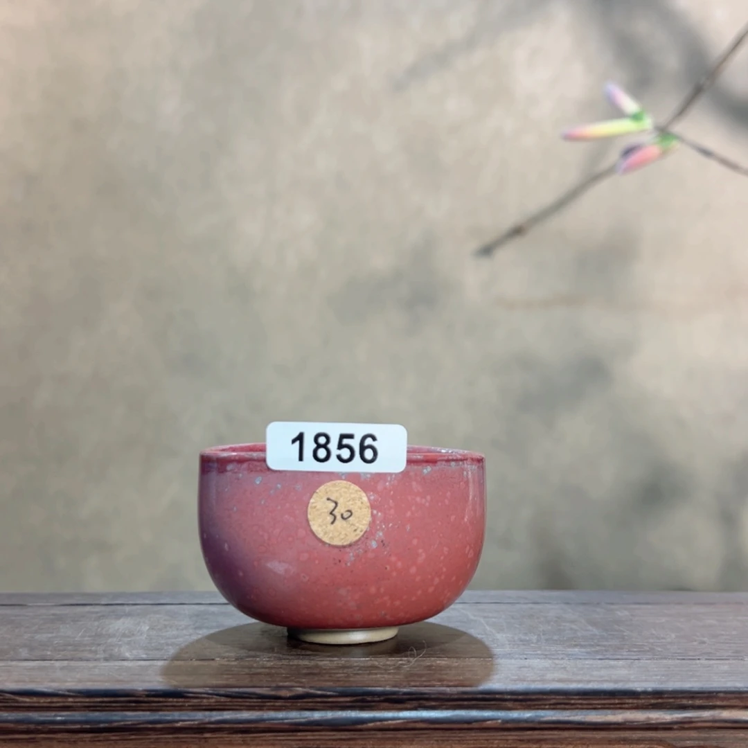 罐18560000000000000000