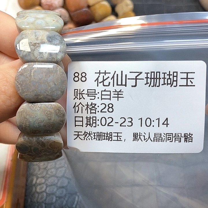 硅化珊瑚（珊瑚玉）手镯未镶嵌白*88