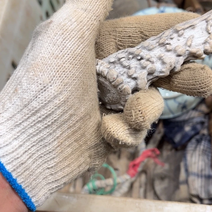 吉***元一物一图，工艺品。