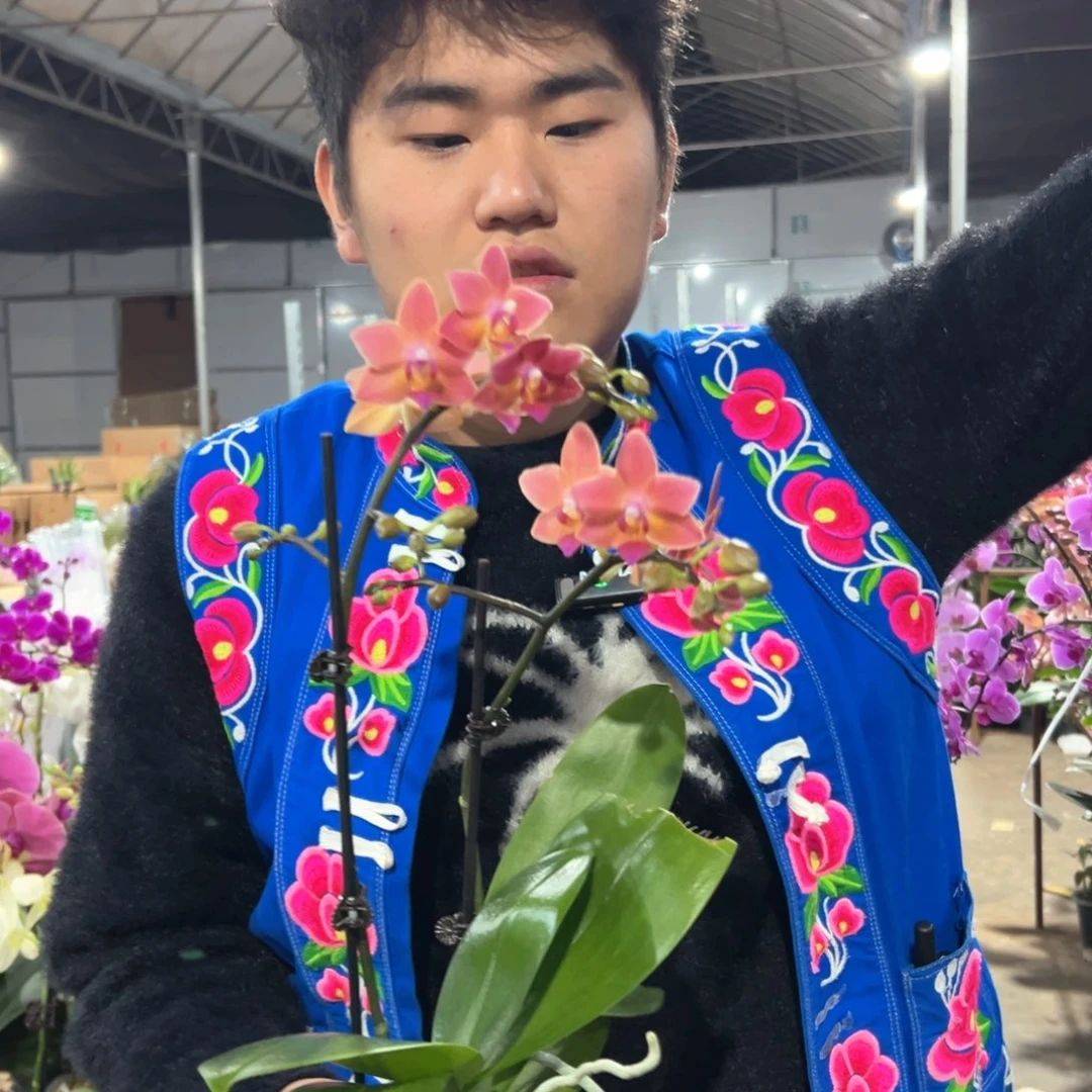 完全开放A-111111