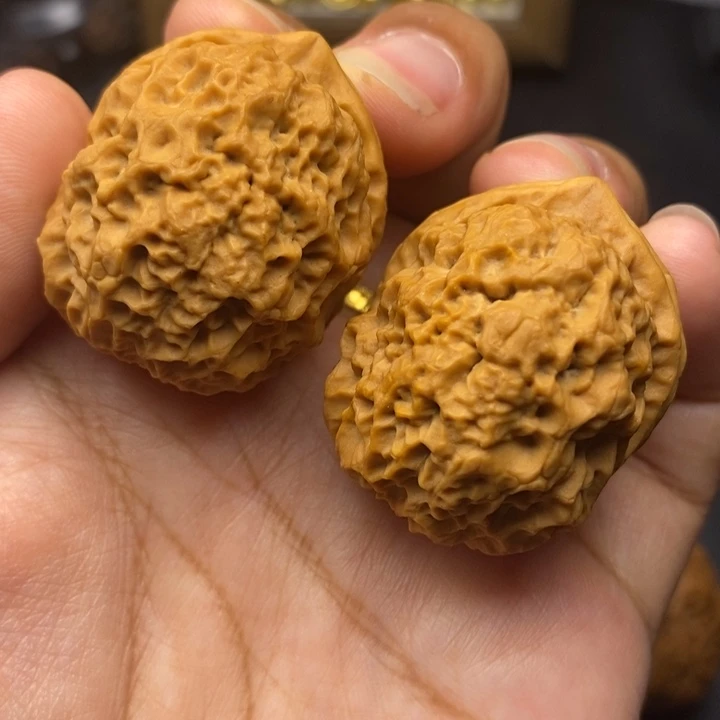文玩核桃把件37尺铁狮子