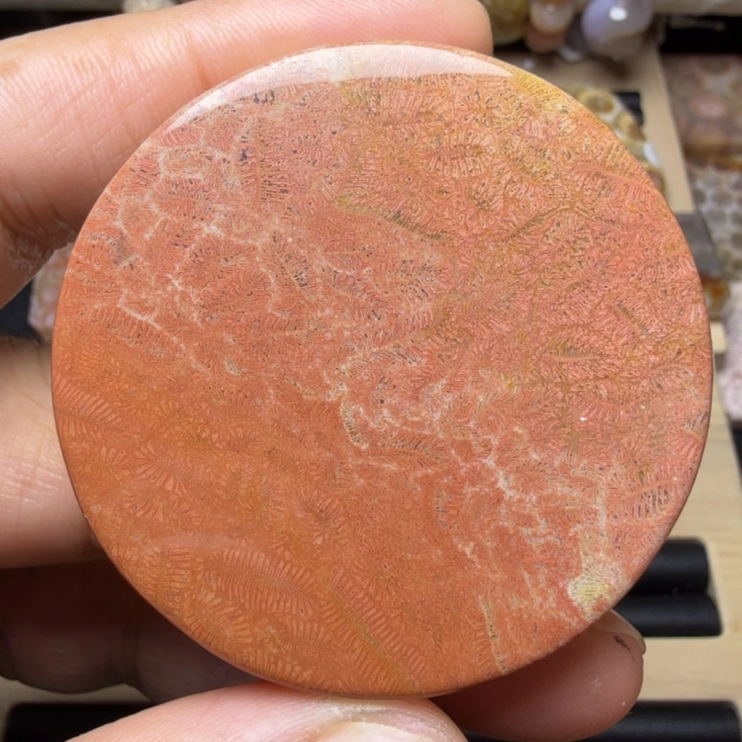 硅化玉未镶嵌手镯芯福利