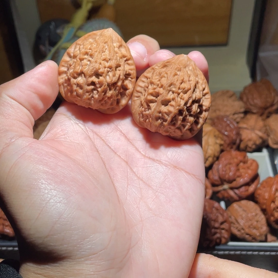 38尺寸全品无修金牛狮子头