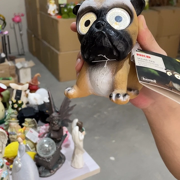 盖碗样品样品狗太阳能