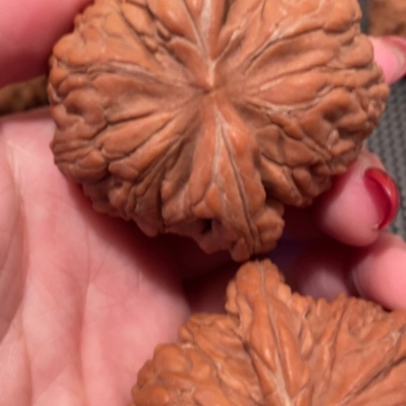 【闪购商品】吊坠文玩核桃用****4华