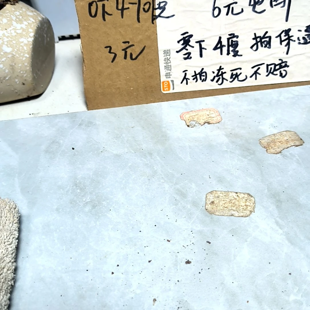 R****N满6元包邮，#白饺子皮2/3头小小小