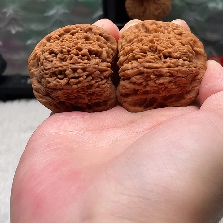 建***君物美价廉物美价廉