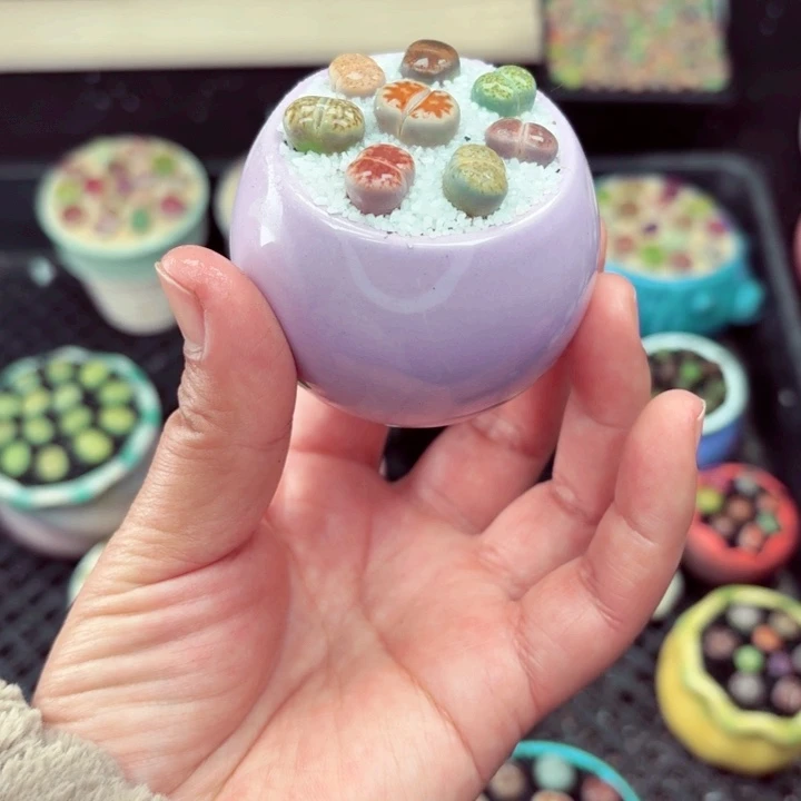 519零下地区记得拍保温箱满18包邮