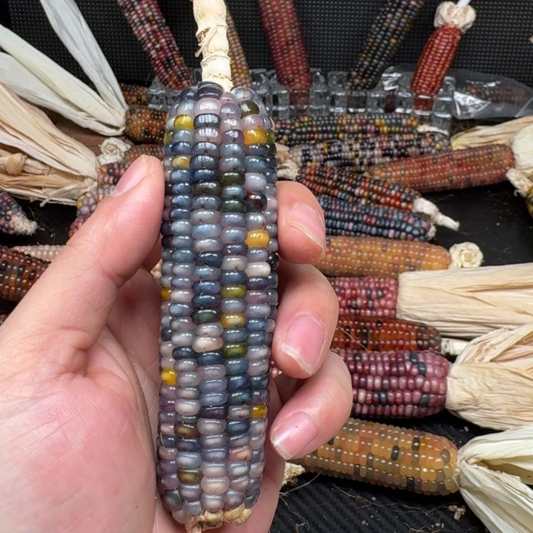 柏香籽/百香籽吊坠煦*