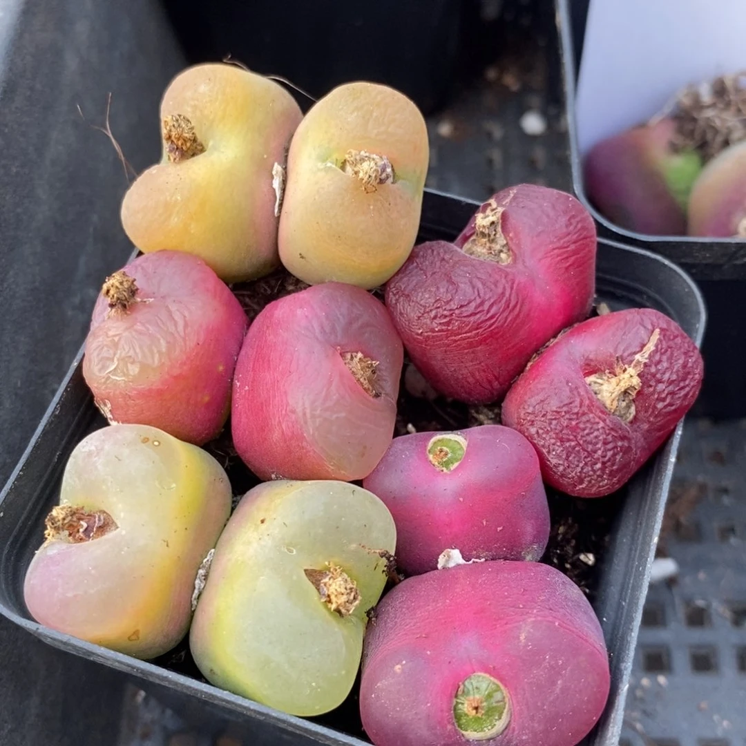 9123一组一组一组