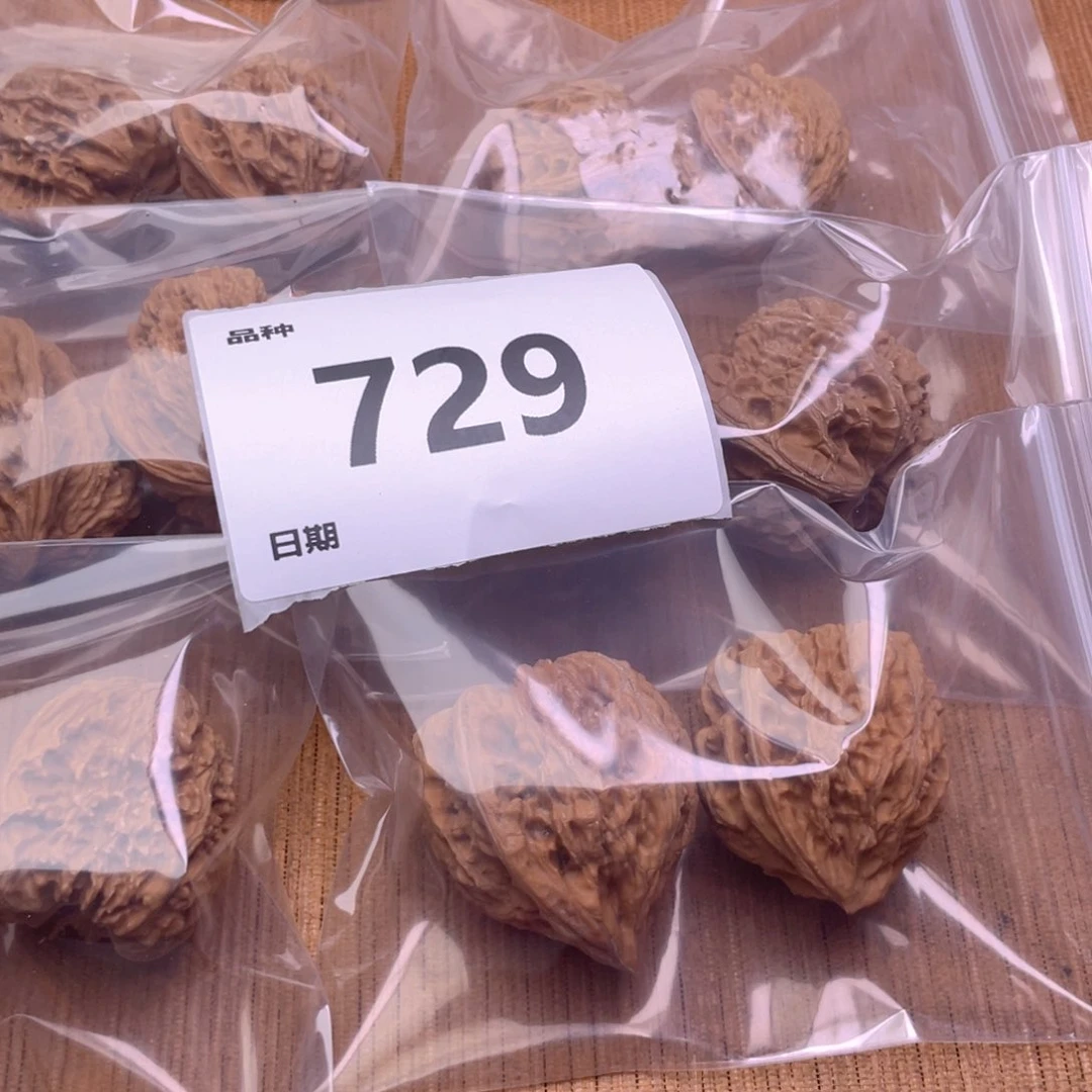 文玩核桃把件729号6对