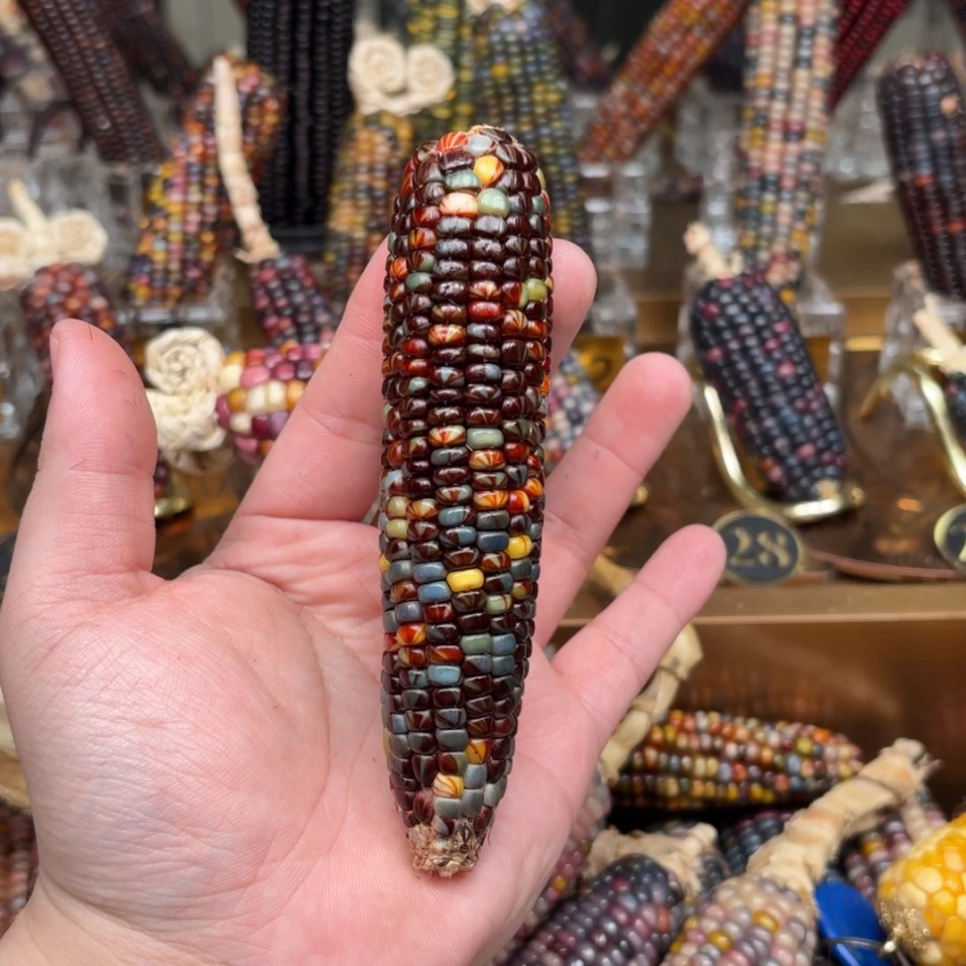 柏香籽/百香籽吊坠徐*妙