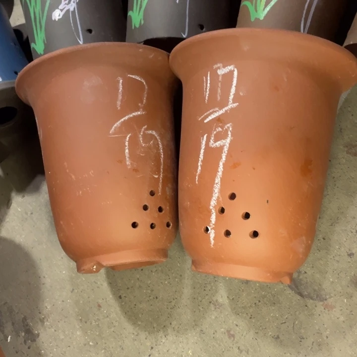 周深周深周深周深周深