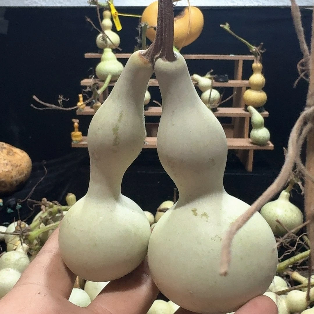 爱***寞连枝定向定向定向