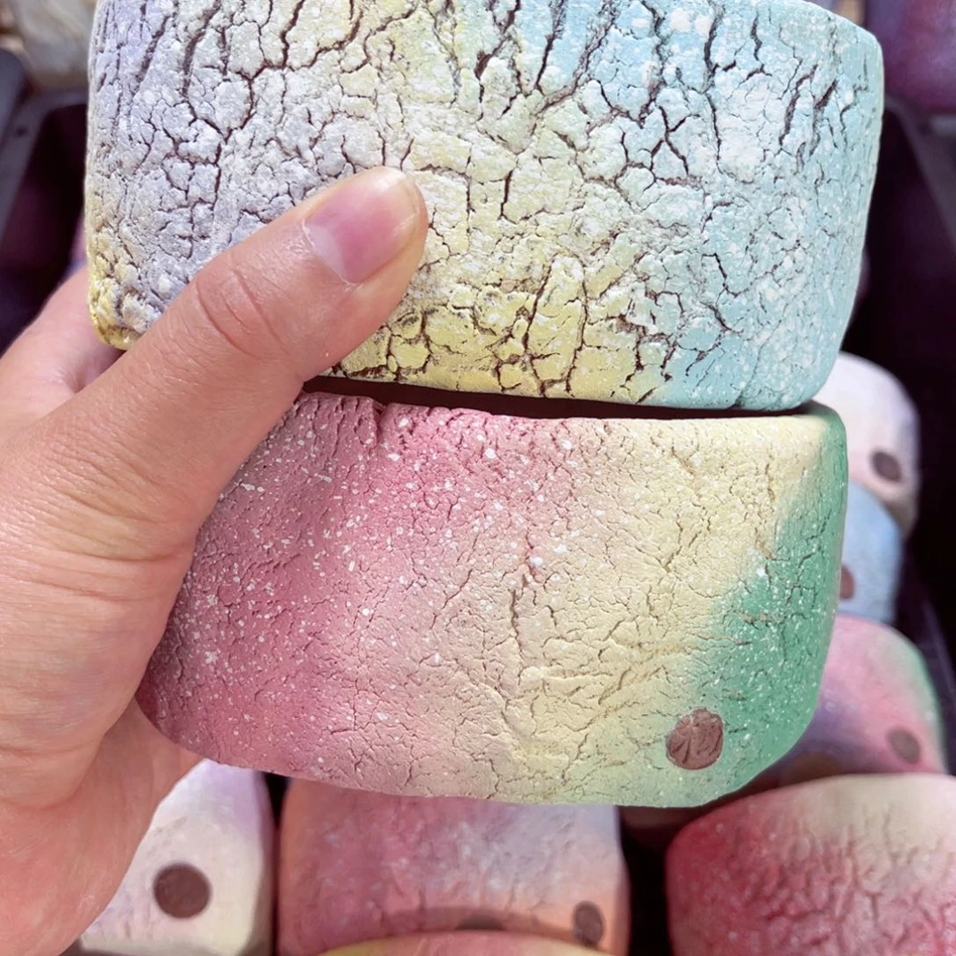 椰***?100号带盆包邮发货