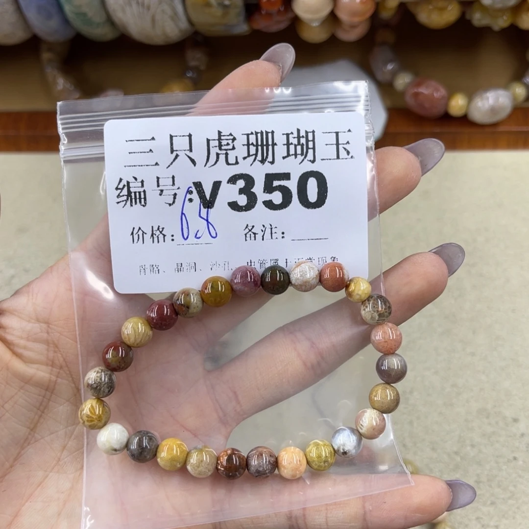 尊***嘟硅化珊瑚（珊瑚玉）未镶嵌h