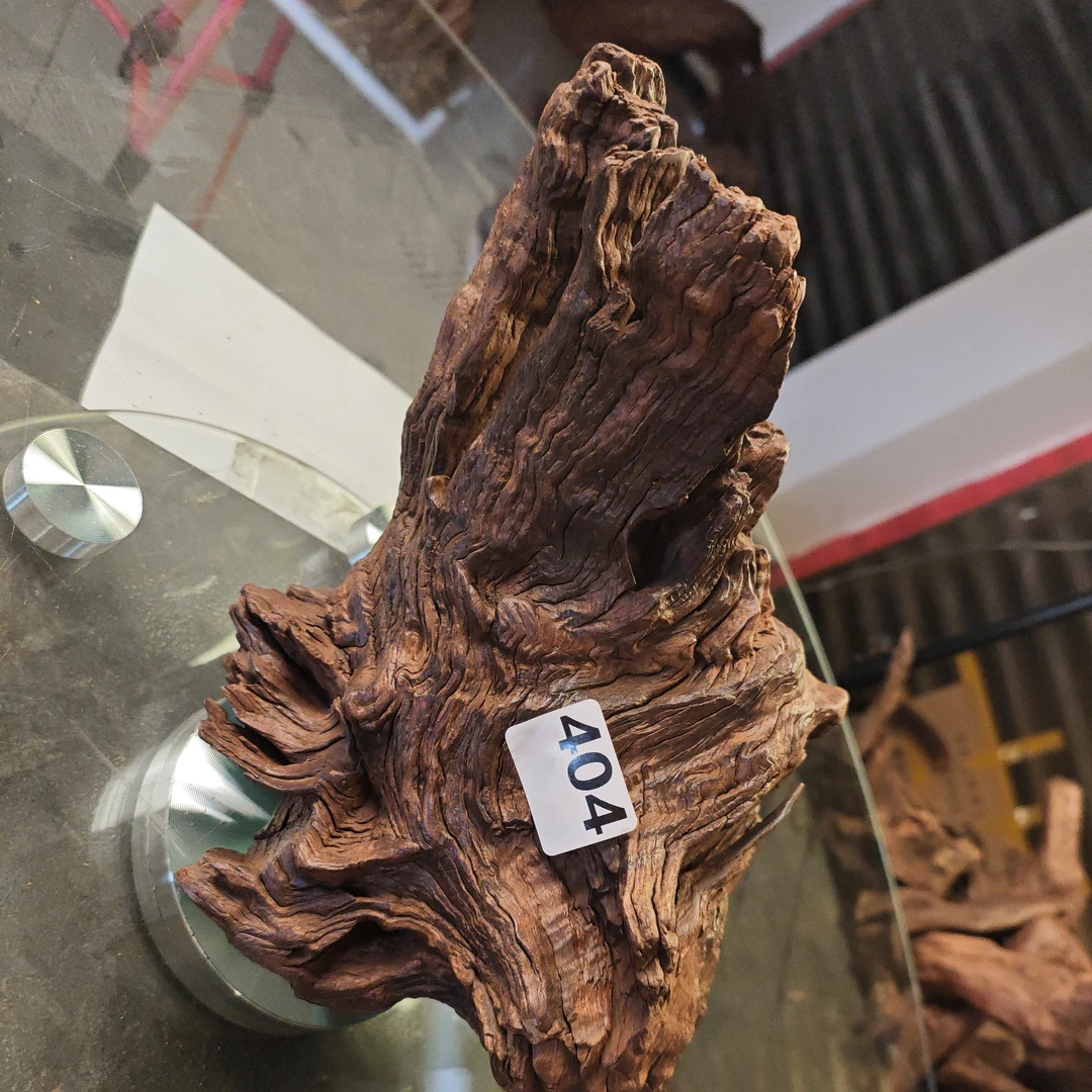 沉木云南紫柚木秒沉木404