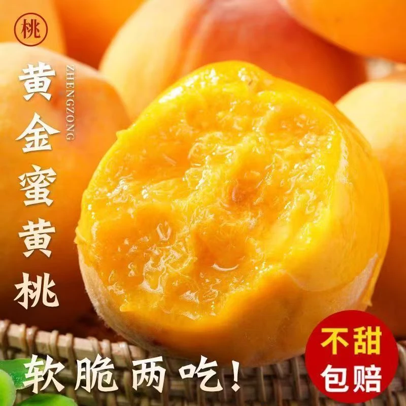 【顺丰包邮】新鲜黄金蜜黄桃甜美多汁果园直发时令水果
