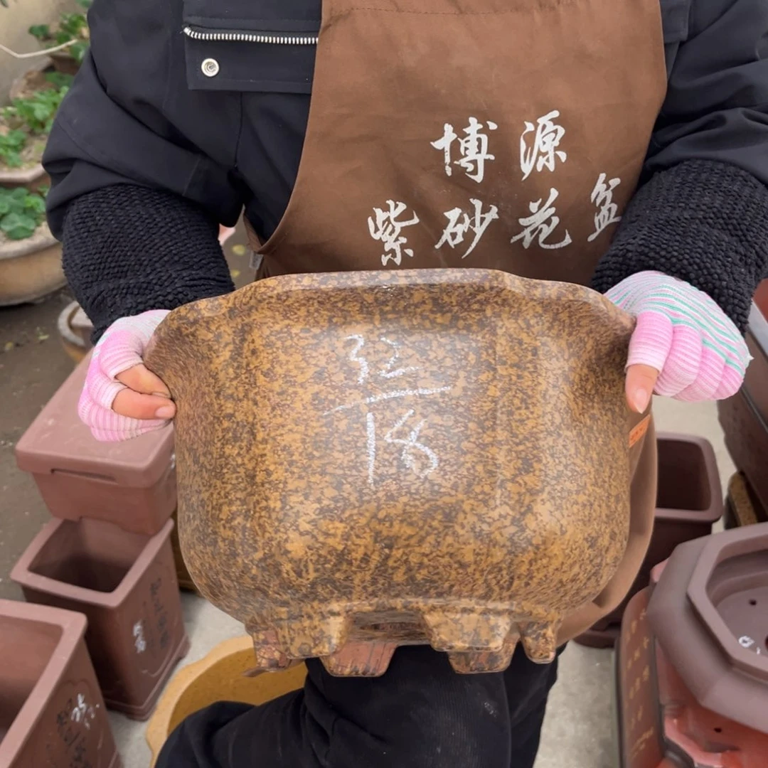 花盆紫砂盆景艺术