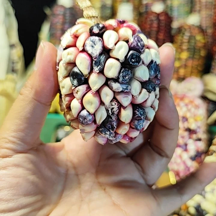 文玩玉米  粉豹纹默认微瑕
