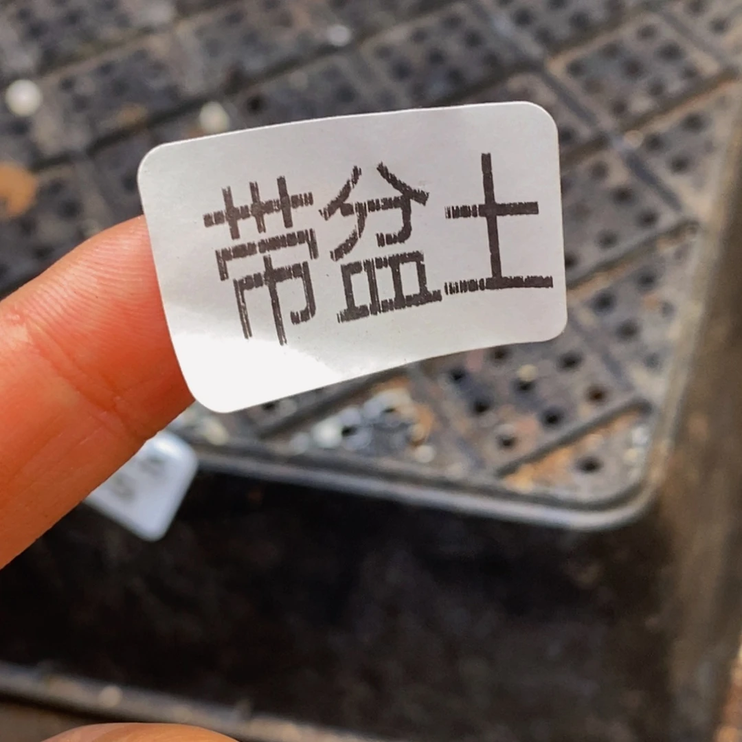 无*374多肉植物保护研究所所长助理