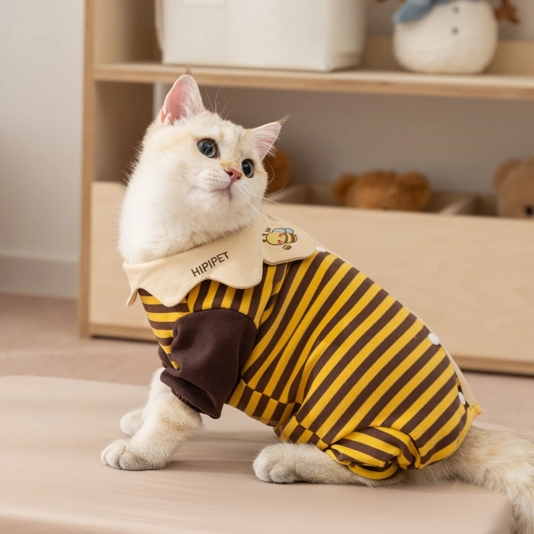 秋冬款加厚条纹四脚包肚衣小猫衣服小蜜蜂德文猫无毛猫宠物衣服