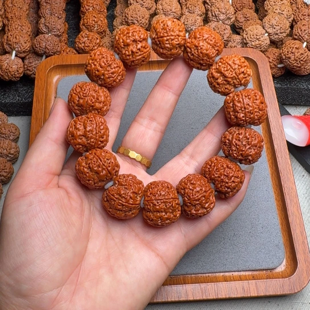 菩提11号尼泊尔大金刚24+蜂窝梅花