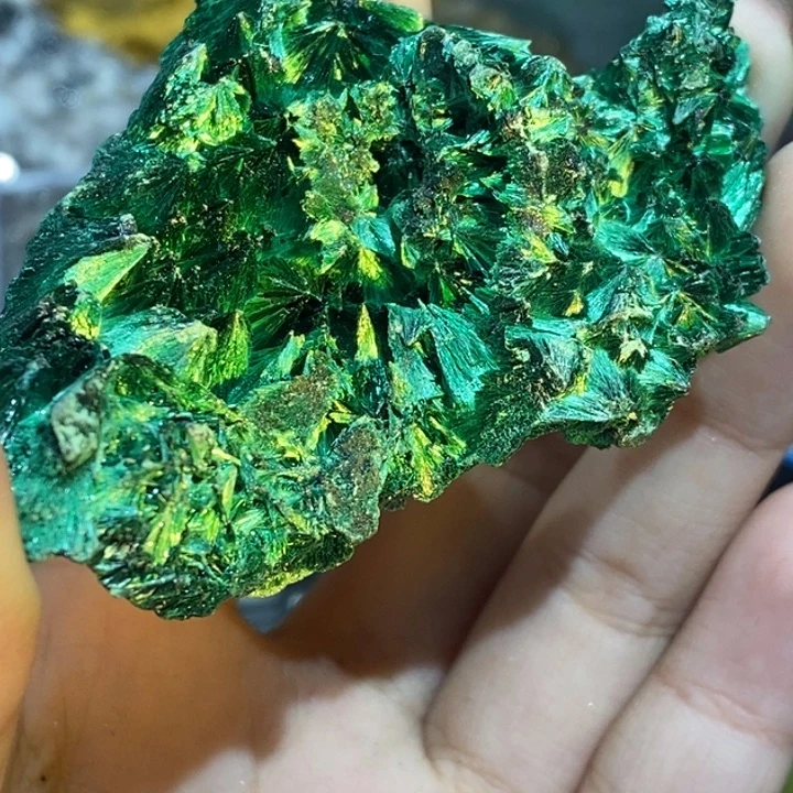 石材松树林双坑针孔雀