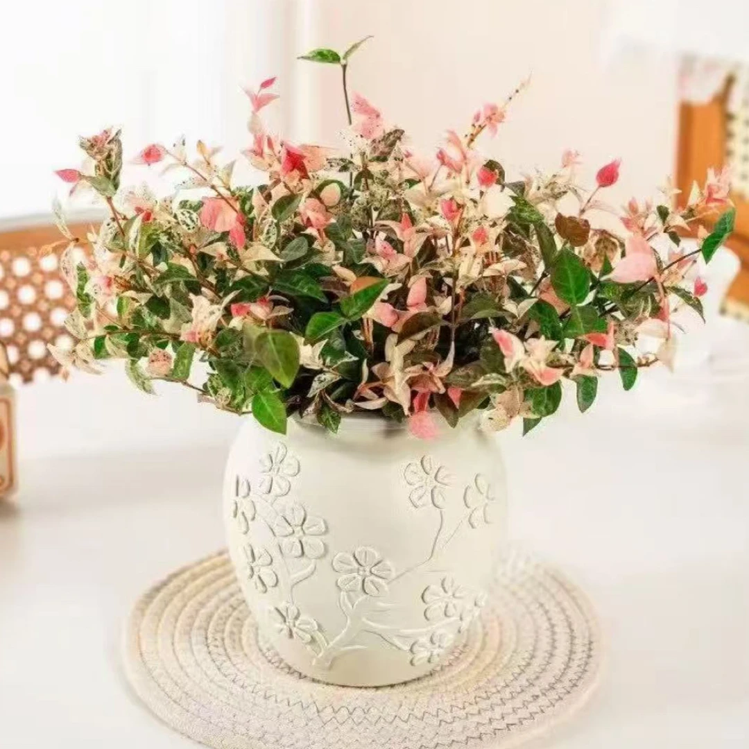 花叶络石长藤室内阳台四季五彩花叶观叶好养垂吊藤苗