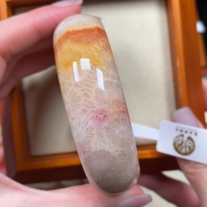 硅化珊瑚（珊瑚玉）手镯未镶嵌55