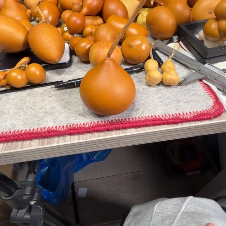 爱***虾爱吃龙虾的一把一把压力葫芦