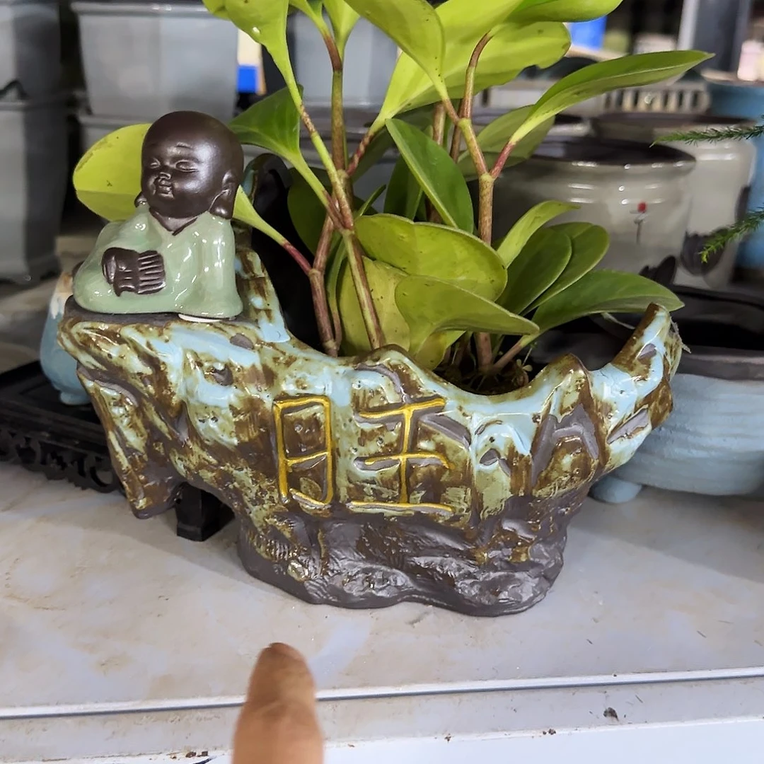 随机送小和尚····