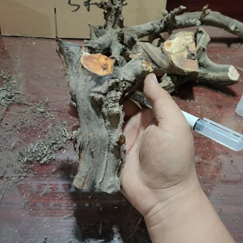 轻***拾核桃木/黑胡桃（胡桃木）