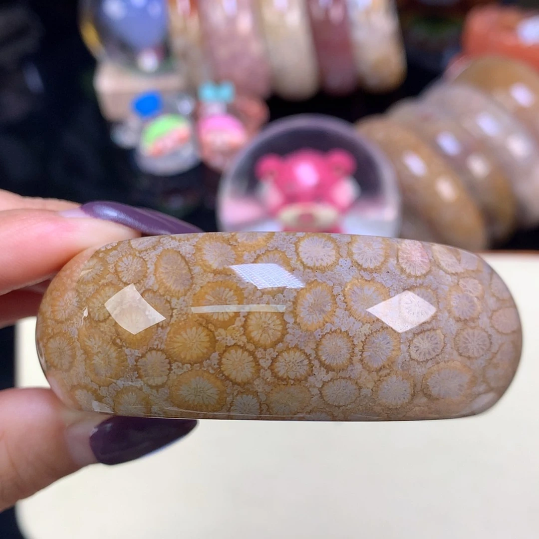 【闪购商品】颈饰未镶嵌硅化珊瑚（珊瑚玉）上新手镯56.7（53号）