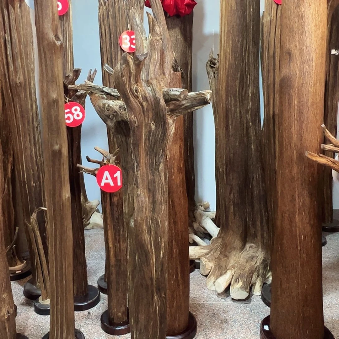 本***源沉香摆件沉香原料